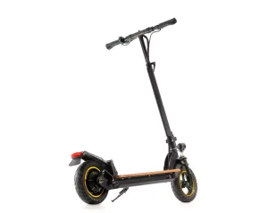 Electric Scooters