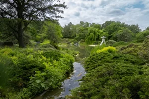 Stroll in the Botanical Gardens